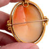 14K Gold Shell Cameo and Pearl Pin/Pendant