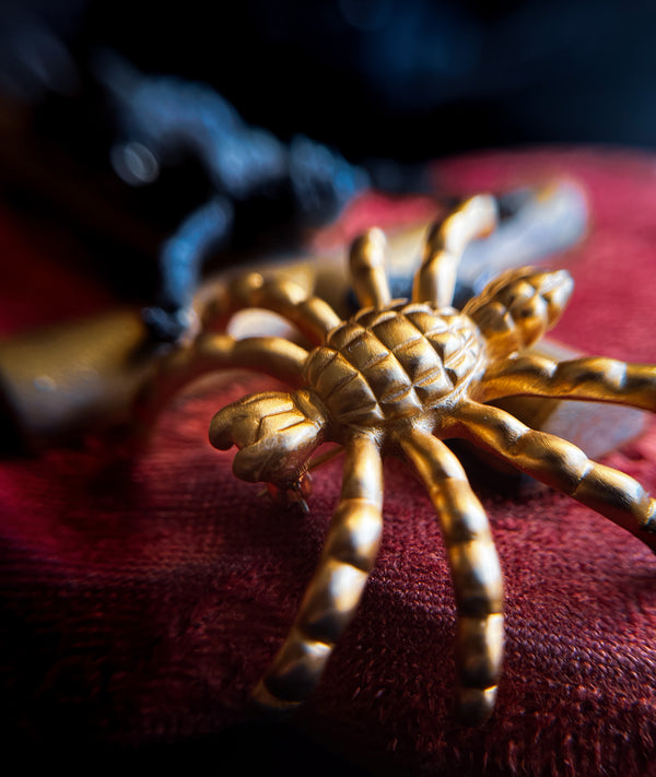 Gold Plated Spider Brooch